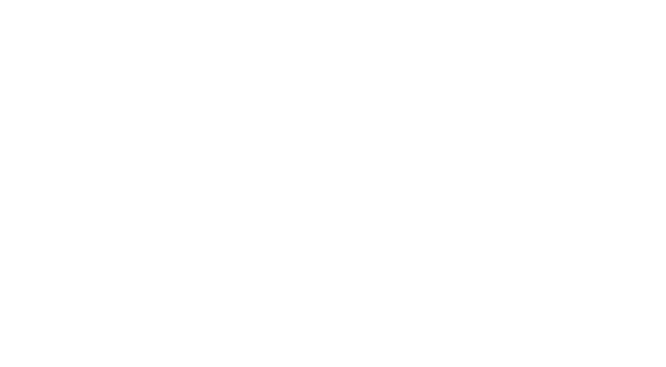 Südkurier